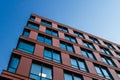 Windows of red office building Royalty Free Stock Photo