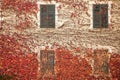 Windows with red and yellow leaves during autumn season at Novacella Abbey near Bolzano, Italy.