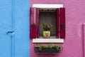 Windows of Venice, Murano and Burano. Picturesque windows with shutters on the famous island Burano. Decorated window on colorful Royalty Free Stock Photo