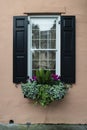 windows and window boxes planters displays adornments enhance architecture Royalty Free Stock Photo