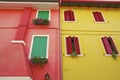 Windows with windowsill flower on the facade