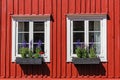 Windows on a wooden facade