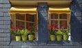 windows with yellow awning and flower pots, Honfleur, France Royalty Free Stock Photo