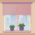 Windowsill Decoration Flowerpot Bloom Pink Flower