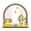 Windowsill garden 2D linear cartoon object Royalty Free Stock Photo