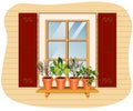 Windowsill Herb Garden Royalty Free Stock Photo