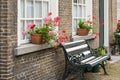 Windowsill with pink and red flowering Pelargonium plants Royalty Free Stock Photo