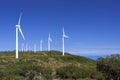 Windpark on the island of Madeira, Portugal Royalty Free Stock Photo