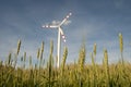 Windpower station in a cornfield Royalty Free Stock Photo
