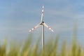 Windpower station in a cornfield Royalty Free Stock Photo