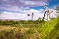 A windpump / windmill in the distance on a green field / meadow / farm