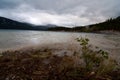 Winds and choppy waters at Saskatchewan Crossing Alberta