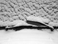 Windshield and wipers covered with snow