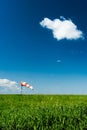 Windsock on green filed Royalty Free Stock Photo