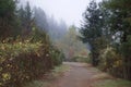 Windsor, California - RiverFront Regional Park morning after rain lake, Russian River Royalty Free Stock Photo