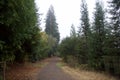 Windsor, California - RiverFront Regional Park morning after rain lake, Russian River Royalty Free Stock Photo