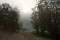 Windsor, California - RiverFront Regional Park morning after rain lake, Russian River Royalty Free Stock Photo