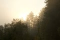 Windsor, California - RiverFront Regional Park morning after rain lake, Russian River Royalty Free Stock Photo