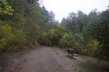 Windsor, California - RiverFront Regional Park morning after rain lake, Russian River Royalty Free Stock Photo