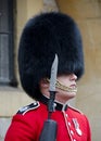Windsor Castle Gaurd Royalty Free Stock Photo