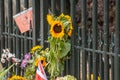 WINDSOR, ENGLAND- 11 September 2022: Sunflowers on the gates of Windsor Castle following Queen`s death