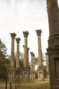 Windsor Ruins in Mississippi Royalty Free Stock Photo