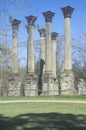 Windsor Ruins are the ruins of the largest antebellum Greek Revival mansion built in the US state of Mississippi, Claiborne County Royalty Free Stock Photo