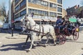 Tourists enjoying a sightseeing tour by a vintage hackney carriage drawn by white horses in the town of Windsor in Berkshire, UK