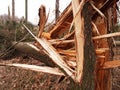 Windstorm damage