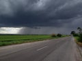 Windstorm over the field Royalty Free Stock Photo