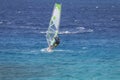 Windsurfer on a board under a sail against the background of the sea, wind and waves.