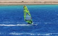 The windsurfer on the board under sail moves at a speed along the surface of the sea, against the background of waves