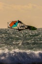 Windsurfer in the evening sun in the camargue, France