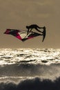 Windsurfer in the evening sun in the camargue