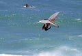 Windsurfer Extreme Windsurfing in Hawaii Royalty Free Stock Photo