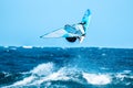 Windsurfer making an acrobatic jump Royalty Free Stock Photo