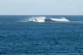 Windsurfer sailing in the coast of Fuerteventura.