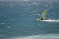 Windsurfer sailing in the sea.