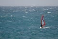 Windsurfer sailing in the sea.