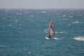 Windsurfer sailing in the sea.