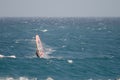 Windsurfer sailing in the sea.