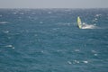 Windsurfer sailing in the sea.