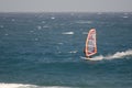 Windsurfer sailing in the sea.