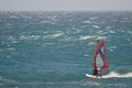 Windsurfer sailing in the sea.