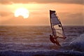 Windsurfer sailing sunset Royalty Free Stock Photo