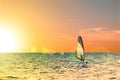 Windsurfer in the sea with a scenic sunset sky. Toned, lens sun flare. Active sport vacation concept Royalty Free Stock Photo