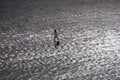 Windsurfer silhouette on the backlight