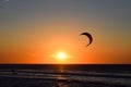 Windsurfer kite in front of sun at the beach with dogs Royalty Free Stock Photo