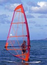 Windsurfer, Tobago.