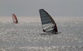 Windsurfers Royalty Free Stock Photo